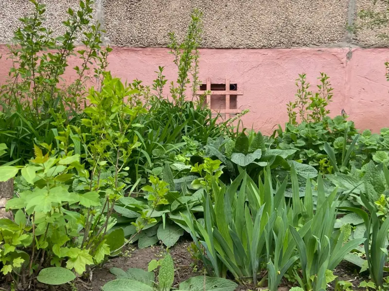 Весна в Оренбурге