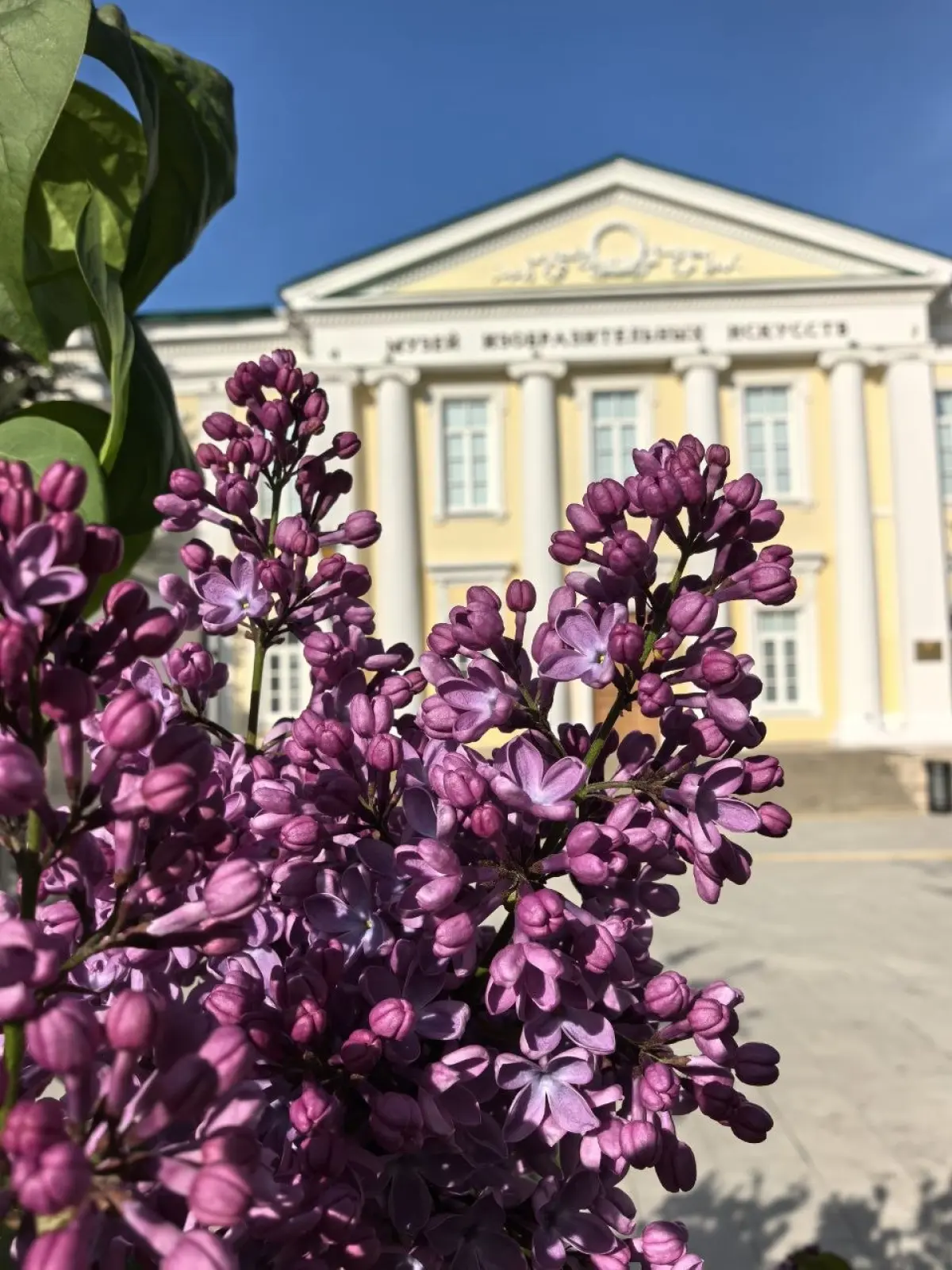 Изображение из галереи